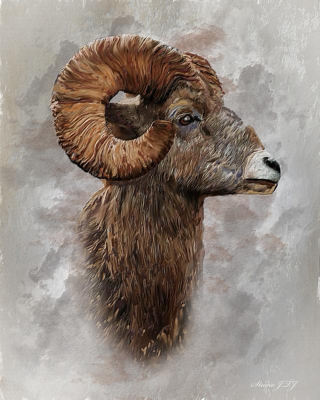 Ram 1